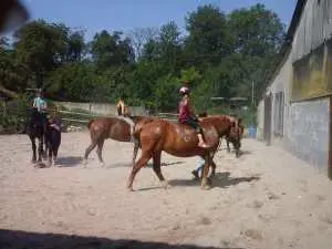 dez2015 662